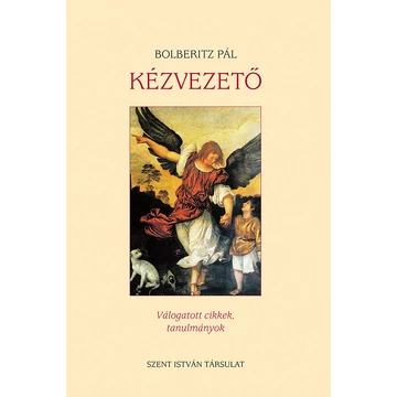 Kézvezető