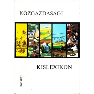 Közgazdasági kislexikon