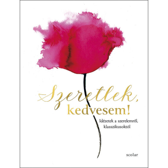 Cover image of Szeretlek, kedvesem