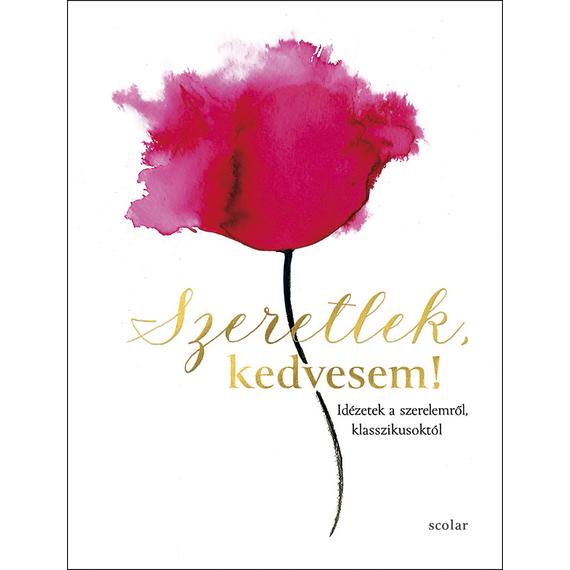 Cover image of Szeretlek, kedvesem