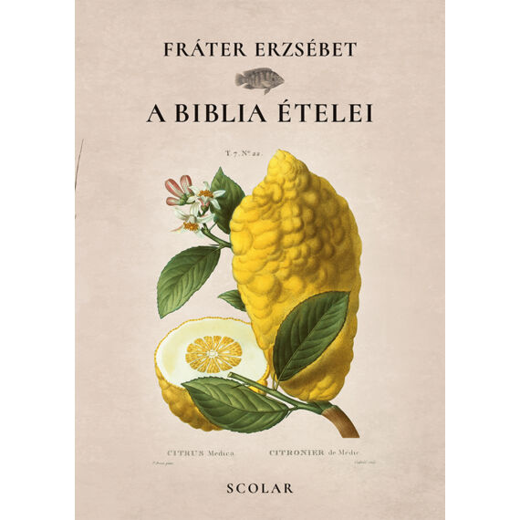 Cover image of A biblia ételei