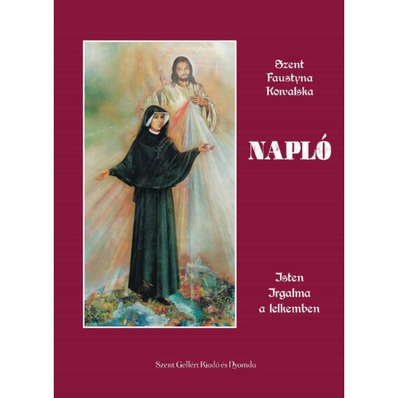 Cover image of Napló