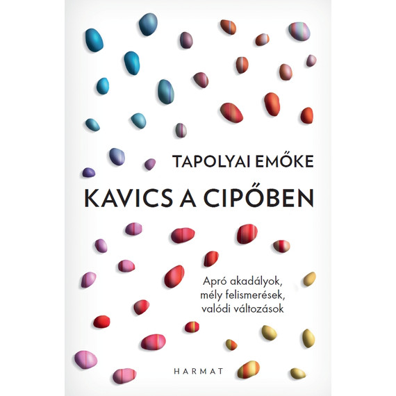 Cover image of Kavics a cipőben