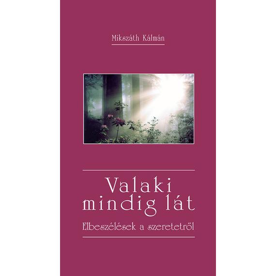 Cover image of Valaki mindig lát
