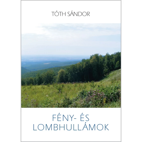 Fény- és lombhullámok
