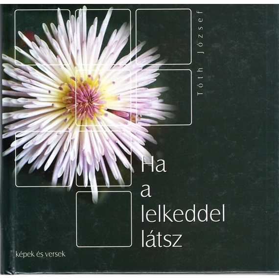 Ha a lelkeddel látsz