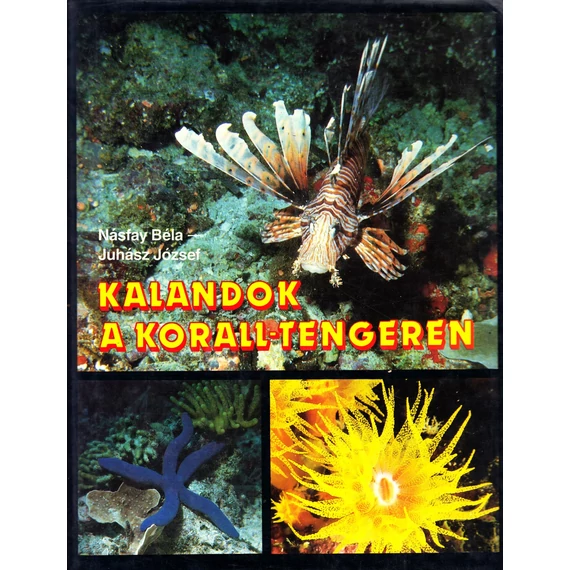 Kalandok a Korall - tengeren